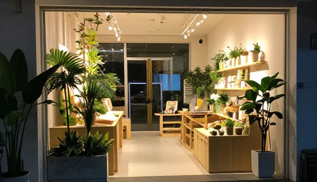 维护策略中方案设计的常见误区与解决方法